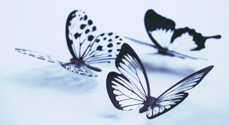 Aesthetic:_Ahesyfxbaw= Butterfly